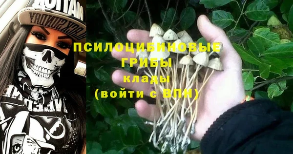 jwh Касимов