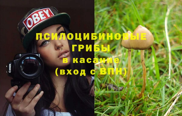 спайс Карпинск
