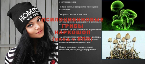 jwh Касимов